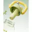 Cốc Nước Nữ 00616|600ml|Cốc Ống Hút Trẻ Em|Mẫu Mới Hot|Dung Tích Lớp|Nhựa Cao Cấp Hoạt Hình|Cốc Đá Cao Cấp Đẹp