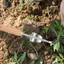Tay Cầm Gỗ Thép Không Gỉ Làm Vườn Weeder Tay Làm Cỏ Loại Bỏ Cắt Kéo Dụng Cụ Đa Năng Weeder