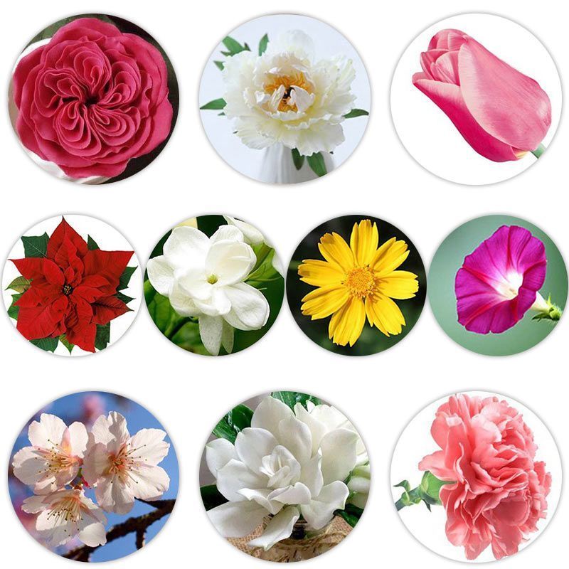 Thép không gỉ Hoa Hồng Lớn Kẹo Cánh Hoa Fondant Khuôn Bộ Mỏng Giọt Nước Fondant Cắt Khuôn Bánh Nướng Khuôn 4.22