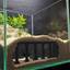 Cột La Mã Đường Hầm Bể Cá Trang Trí Bể Cá Sỏi Nơi ẩn náu cho Betta Cichlid Kuhli Loach Tôm Môi Trường Sống Đông Nam Á Tôm Bể Cá Nơi trú ẩn