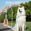 【Ready Stock】 P Rope P Chain Dog Hand Holding Rope Explosion-Proof Anti Breaking Loose Small, Medium and Large Dogs Walking Dog Dog Training Rope Bite-Resistant Avoid Cutting into the Neck tZod