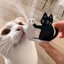 AMBU Cat Whiskers Collection Đồ trang trí, Hộp tưởng niệm lưu trữ tóc mèo hoạt hình Acrylic, Nhãn dán tủ lạnh mèo từ tính sáng tạo để trang trí nhà cửa