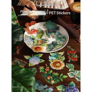 JIANWU Mùa Hè Rừng Mưa Series Vintage Cây Hoa Phong Cảnh Chất Liệu Cắt Dán PET Nhãn Dán Sáng Tạo DIY Tạp Chí Văn Phòng Phẩm