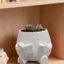 Chậu trồng đầu DELMER, Chậu trồng cây cỡ nhỏ thiết kế sành điệu, Đồ trang trí mới lạ Giá đỡ chậu hoa in 3D Màn hình sân vườn