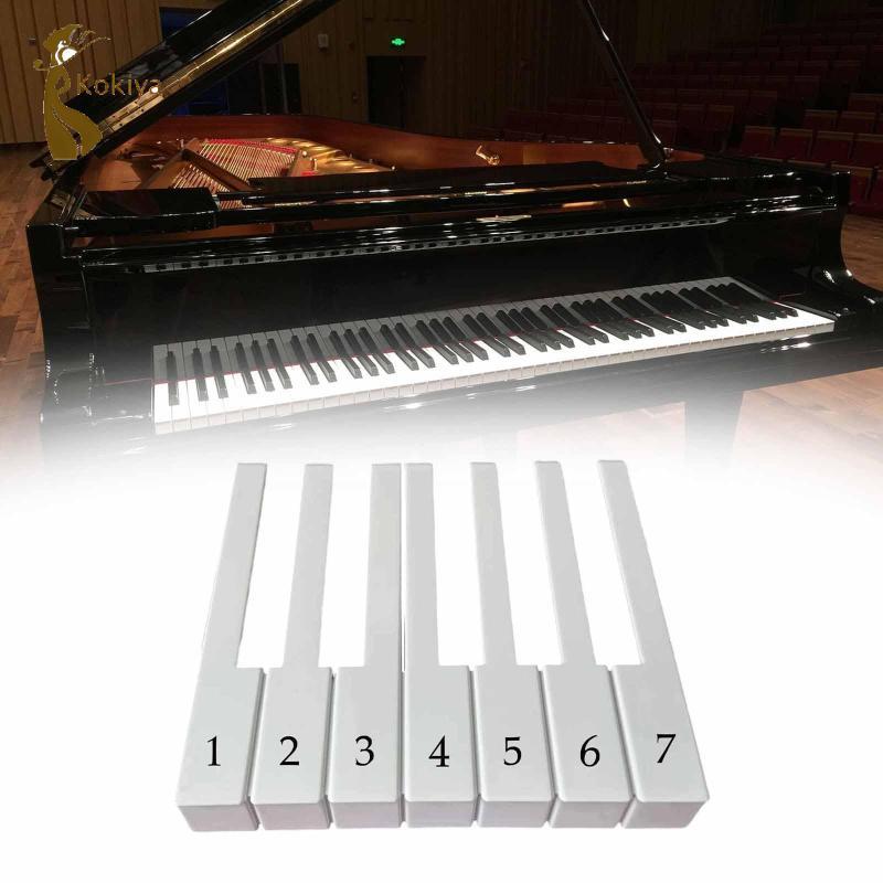 Bàn phím đàn piano Bộ nắp chìa khóa màu trắng Phụ kiện đàn piano chuyên nghiệp để sửa chữa thẳng đứng dọc