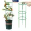 MAKY 1 Bộ Trellis Cà Chua Có Thể Điều Chỉnh Cọc Cây Vườn Trellis Cây Cà Chua Hỗ Trợ Lồng Cho Vườn Chậu Cây Trồng Tiếp Liệu VN