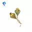 Trâm Cài Hoa Dainty Dễ Thương Cho Nữ Thiết Kế Hoa Tulip Ve Áo Chân Thanh Lịch