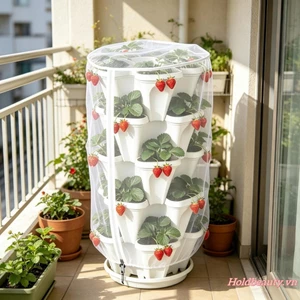 Lưới côn trùng trong chậu cây có dây kéo Vỏ lưới sân vườn có thể xếp chồng lên nhau cho dâu tây Hoa thảo mộc Rau quả
