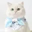 Chó Mèo Dễ Thương Nước Bọt Khăn Thú Cưng Yếm Nơ Yếm Chó Nhỏ Bichon Muppet Có Thể Điều Chỉnh Trang Trí
