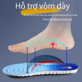 Lót giày thể thao 4D, Miếng lót giày cao su non, Miếng đế lót giày cao cấp êm đàn hồi thoáng khí chống sốc