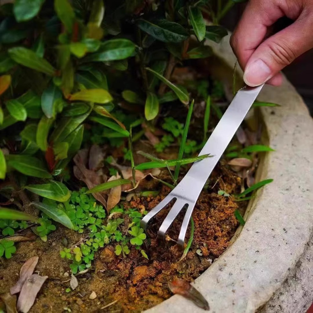 Mới Cây Cảnh Rake Hộ Gia Đình Thép Không Gỉ Tay Rake Hai Đầu Bấm Đất Dao Mầm Chọn Handmade Làm Cây Cảnh Dụng Cụ Rời Đất