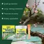 Cây Cắt Tỉa Niêm Phong 100g Thân Cây Hiệu Quả Dán Cây Ghép Có Bàn Chải Cho Cây Bị Hư Hại Cây Cây Cây Cây Cây Cây Bụi Cây Thân Cây Orchard jiwvn