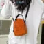 E-WOITD Túi Đeo Vai Di Động Nylon Chống Thấm Nước Nữ Túi Điện Thoại Di Động Nhỏ Thể Thao Ngoài Trời Người Đeo Ngang Túi Bình Nước Thông Thường Túi E-WOITD