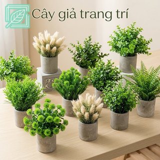 Cây trồng trong chậu nhân tạo Trang trí bàn Cây xanh giả Văn phòng tại nhà Phòng ngủ Ảnh Prop