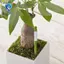 Máy đo độ ẩm đất thực vật, đầu dò, chỉ báo Máy đo độ ẩm đất thực vật