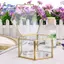 Hộp đựng đồ trang sức cổ điển bằng kính hình học vàng Hộp sắp xếp trưng bày trang sức Hộp trang trí nhà để lưu trữ (Lớn)