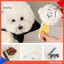 Hộp đựng túi đựng thức ăn cho chó hoạt hình dễ thương Hộp đựng đồ thải thú cưng sang trọng mềm mại có lỗ tròn – Di động hợp thời trang để đi bộ ngoài trời và túi treo du lịch