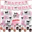 ST2 Sanrio My Melody Theme trẻ em trang trí tiệc sinh nhật biểu ngữ bánh topper bóng bay bộ cung cấp TS2