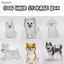 Bigapple Clear Puppy Hair Memorial Capsule Pet Fur Mặt dây chuyền Móc khóa Quà tặng lưu niệm RDG