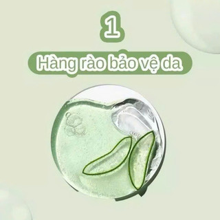 Xịt Khoáng ARUMORE Chiết Xuất Lô Hội Aloe Vera Cấp Ẩm Làm Dịu Da 200ML Sonbeauty.