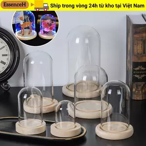 ESSENCEH Bụi Cây Cổ Tích Đèn Terrarium Trong Suốt Bình Thủy Tinh Hoa Hộp Bảo Quản