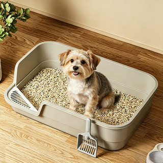 Hộp đựng rác cho mèo mở có mặt cao, Chảo cho mèo chống văng có thìa đựng rác, Thùng đựng mèo con bán kín cho hộp Dễ lau chùi