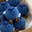 ❈ ❈ ❈ ❈ ❈ ❈ ❈ ❈ ❈ ❈ ❈ ❈ ❈ ❈ ❈ ❈ ❈ ❈ ❈ ❈ ❈ 🍒 日 ❈ ❈ ❈ ❈ ❈ ❈ ❈ Chặn nấm mốc Blueberry chặn nấm mốc BlueJ3sgR2Fu3