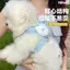 【Ready Stock】 Dog Cartoon Hand Holding Rope Outing Anti Breaking Loose Strap Adjustable Pet Special Muppet Teddy Small Rope for Dogs 5gSD