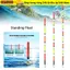 Phao ống hút WOODNEST, Vòng chân bắt mắt Phong cách Phao có độ nhạy cao, Cá chép chất lượng cao Mô hình chèn trực tiếp theo mùa Phao mở rộng Câu cá chép Crucian