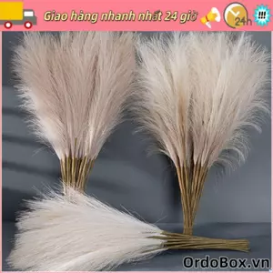 ORDOBOX 10 Cái / bộ Boho Trang Trí Hoa, DIY Sắp Xếp Hoa Lông Tơ Pampas Cỏ, Đơn Giản 55CM Trang Trí Nhà Cây Giả Tiệc Cưới Reed