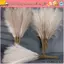 ORDOBOX 10 Cái / bộ Boho Trang Trí Hoa, DIY Sắp Xếp Hoa Lông Tơ Pampas Cỏ, Đơn Giản 55CM Trang Trí Nhà Cây Giả Tiệc Cưới Reed