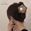 Nhíp kẹp tóc cá mập lớn và barrettes đơn giản cho thu đông