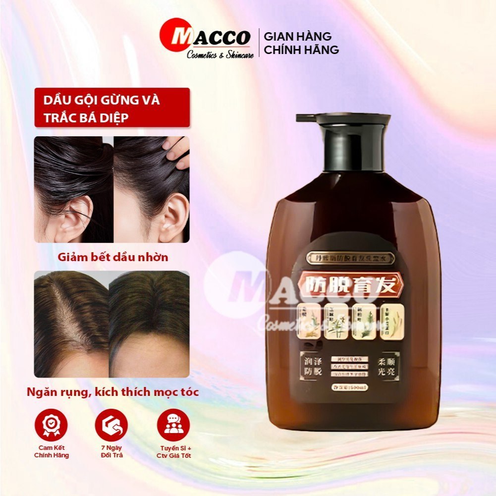Dầu Gội Gừng Trắc Bá Diệp (500ml) Giảm Dầu Ngứa, Ngăn Rụng Tóc, Tăng Mọc Tóc