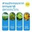 Kem loại bỏ nhẹ nhàng Velltura Đỏ / Sửa chữa in Hình xăm phai màu 2026-05-6