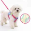 Mùa Hè Dobamine Chó Ngực Lưng Dây Xích Chó Nhỏ Chó Teddy Bichon Chó Con Dây Xích Chó Chống Chia Tay Đi Chơi Dây Đeo Cho Chó