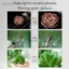 Guansfs Ống kính macro điện thoại di động phổ thông 30 mm-120 mm Máy ảnh điện thoại thông minh không bị biến dạng với hộp lưu trữ vải sạch thay thế cho iPhone 15/14/13/12/11