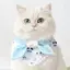 Chó Mèo Dễ Thương Nước Bọt Khăn Thú Cưng Yếm Nơ Yếm Chó Nhỏ Bichon Muppet Có Thể Điều Chỉnh Trang Trí