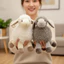 Búp Bê Sang Trọng Cừu DARON, Búp Bê Động Vật Trắng Mềm, Đồ Chơi Gia Đình Thực Tế Dễ Thương 22cm Nhồi Bông Sang Trọng Đồ Chơi Cho Bé