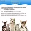 Luckyew Pet Dog Tông Đơ Cắt Tóc Với 2 des Chải Lông Dao Cạo Mỏng Chó Catbs Chó Mèo Tẩy Tóc Chải Tóc TQ