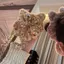AqToCna Dễ Thương Sang Trọng Mèo Con Dây Buộc Tóc Hoạt Hình Ngọt Ngào Đuôi Mèo Scrunchies Dây Tóc Ba Của Đầu Phụ Kiện Tóc Quà Tặng AqToCna