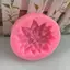 1 Cái Holly Lá Khuôn Silicon Bánh Nướng Giáng Sinh Dụng Cụ Trang Trí DIY Xà Phòng Sô Cô La Trái Cây Hoa Nến Đồ Dùng Nhà Bếp Khuôn