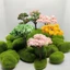 WANYEDI 1 / 5 Mô Hình Cây Hoa Anh Đào Thu Nhỏ, Đồ Thủ Công DIY Nhựa Micro Plant, Đồ Chơi Terrarium Phụ Kiện Cây Cảnh 6.5cm Trang Trí Cây Cảnh Vườn Cổ Tích