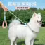 【Ready Stock】 P Rope P Chain Dog Hand Holding Rope Explosion-Proof Anti Breaking Loose Small, Medium and Large Dogs Walking Dog Dog Training Rope Bite-Resistant Avoid Cutting into the Neck tZod
