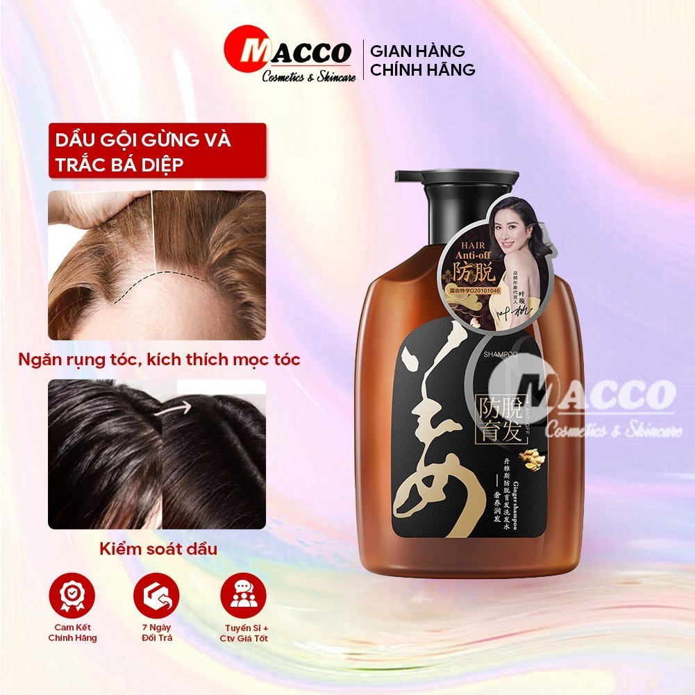 Dầu Gội Gừng Trắc Bá Diệp (500ml) Giảm Dầu Ngứa, Ngăn Rụng Tóc, Tăng Mọc Tóc