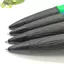 28,5cm Bút bi khổng lồ ngoại cỡ Cá tính Văn phòng phẩm Đạo cụ trường học Quà tặng Bút Gel khổng lồ lớn Bút trung tính Đồ dùng viết Đẹp