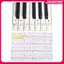 Bàn phím JASMINE ghi chú Stier 88 / 61 / 54 / 49 / 37 phím Piano Stier Trong suốt JASMINE