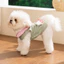 Chó Con Quần Áo 2026 Bichon Schnauzer Teddy Thú Cưng Mèo Mùa Xuân Mùa Hè Áo Mỏng