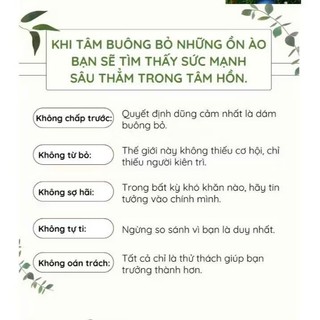 Sách - Combo 2 Cuốn Tái Sinh Hành Trình Tìm Lại Chính Mình + Trên Thế Gian Không Gì Là Không Thể Buông Bỏ