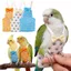 AMBU Cockatiel Pigeons, Tã Vẹt Chống Bụi Bẩn In Hình Động Vật Nhỏ, Có Thể Giặt Được Với Bowtie Thú Cưng Chim Bộ Đồ Bay