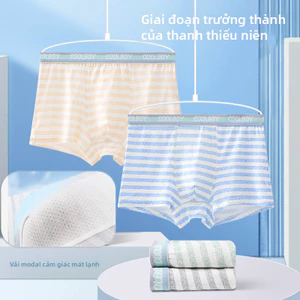 Quần lót dành cho bé trai trên 8 tuổi, chất liệu Modal, kiểu mỏng nhẹ phù hợp mùa hè, mềm mại và thoáng khí.